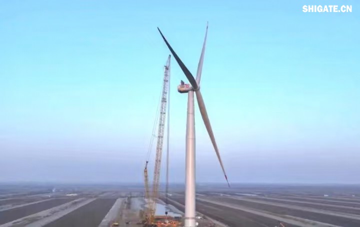 1月11日，全球最大功率等級的漂浮式風電機組——中國中車“啟航號”在山東東營風電裝備測試認證創(chuàng)新基地吊裝成功，標志著我國在海上超大型風機的探索邁出重要一步。該項目風電機組的配套塔筒是全球直徑最大、重量最重的塔筒型號，所用鋼板由河鋼集團舞鋼公司獨家提供。  微信圖片_20250220083217.jpg  舞鋼公司深入貫徹集團要求，以客戶需求為導向，大力開展技術營銷，不斷優(yōu)化營銷方案，通過提供“一攬子”解決方案，滿足高端客戶對高品質產(chǎn)品和未來發(fā)展的需求，加速由生產(chǎn)型向“制造+服務”型企業(yè)轉變。該項目對產(chǎn)品抗沖擊性能及表面質量有著極為嚴苛的要求，且交貨期較短，生產(chǎn)難度相當大。為確保合同順利交付，舞鋼公司產(chǎn)線各單位協(xié)同聯(lián)動，強化工藝和生產(chǎn)過程控制，攻克了高強度與高延伸率匹配、低溫沖擊韌性匹配等一系列技術難題，確保了產(chǎn)品各項指標全部滿足客戶要求，并按期交付客戶。  微信圖片_20250220083224.jpg  “啟航號”20MW漂浮式海上風電塔筒是專門為20MW及以上海上漂浮式風機提供系統(tǒng)解決方案而設計的，是全球最大功率漂浮式風電機組的配套塔筒，總高度為141.15米，最大直徑12米，重量達到了1576噸。